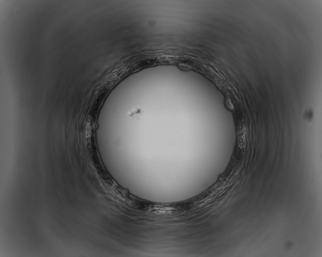 X0000100930472200806241142