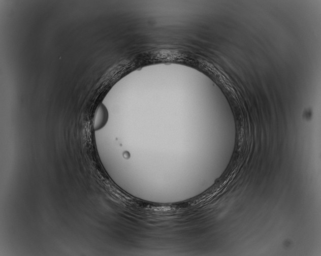 X0000100930473200806241142