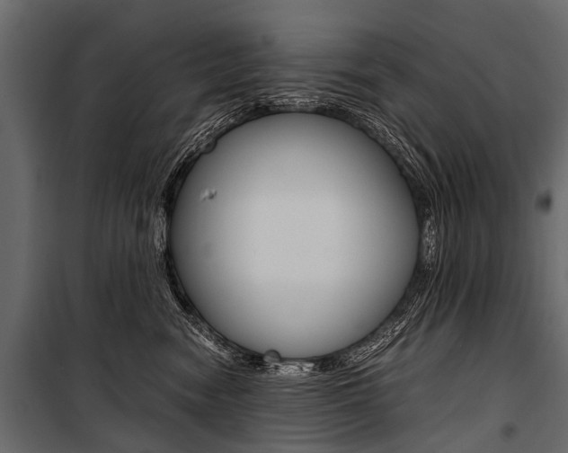 X0000100930474200806241142