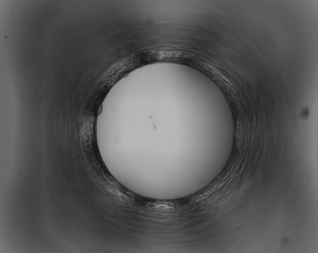 X0000100930475200806241143