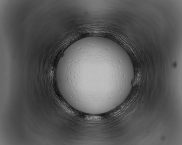 X0000100930476200806241143