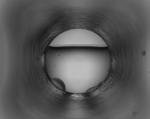 X0000100930477200806241143