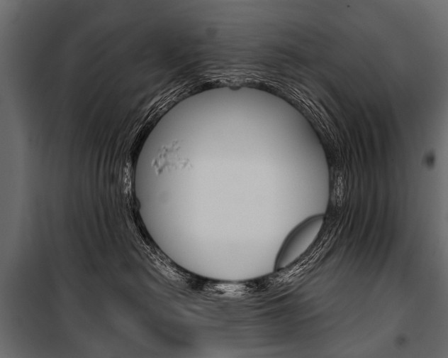 X0000100930478200806241143