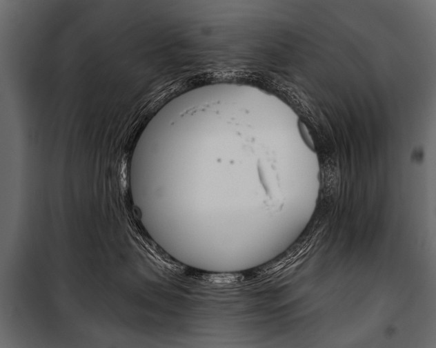 X0000100930479200806241143