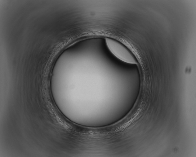 X0000100930481200806241142