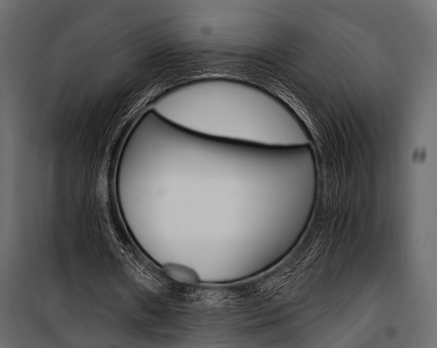 X0000100930482200806241142