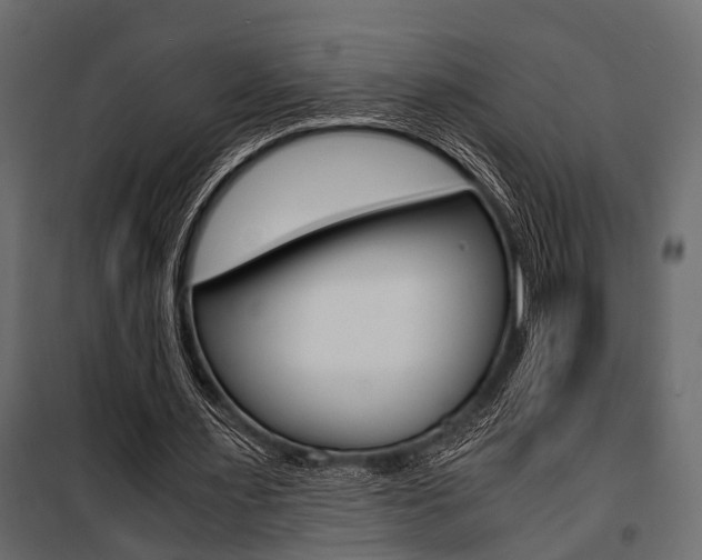 X0000100930483200806241142