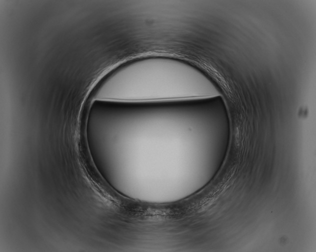 X0000100930484200806241142