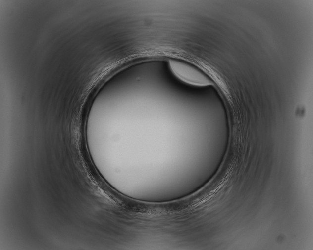 X0000100930485200806241142