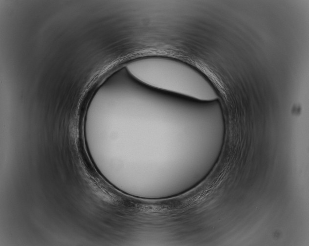 X0000100930486200806241142