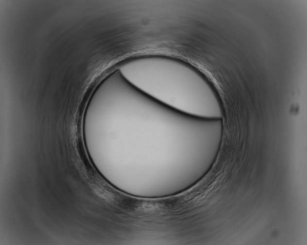 X0000100930487200806241142