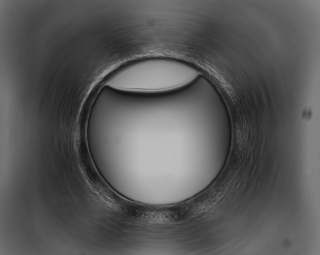 X0000100930488200806241142