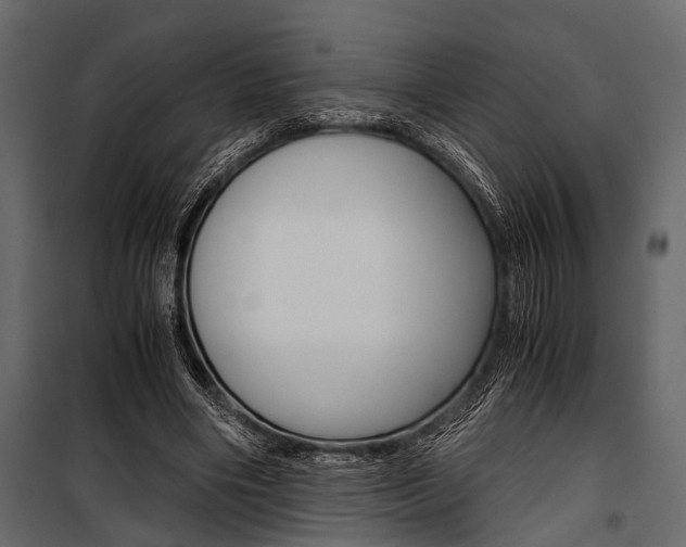 X0000100930490200806241142