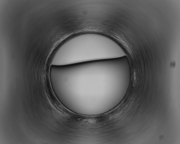 X0000100930492200806241142