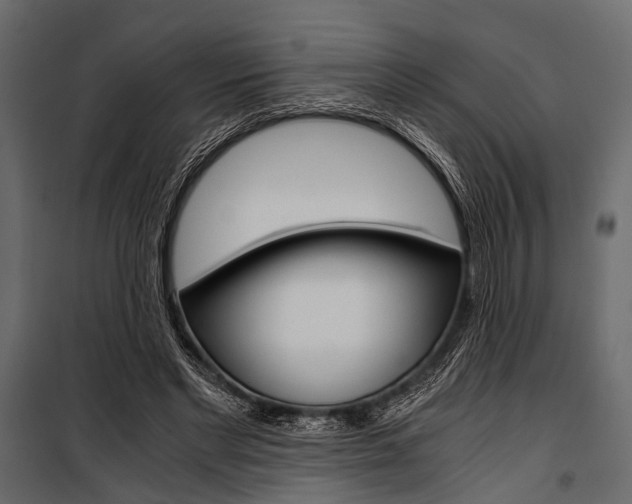 X0000100930493200806241142