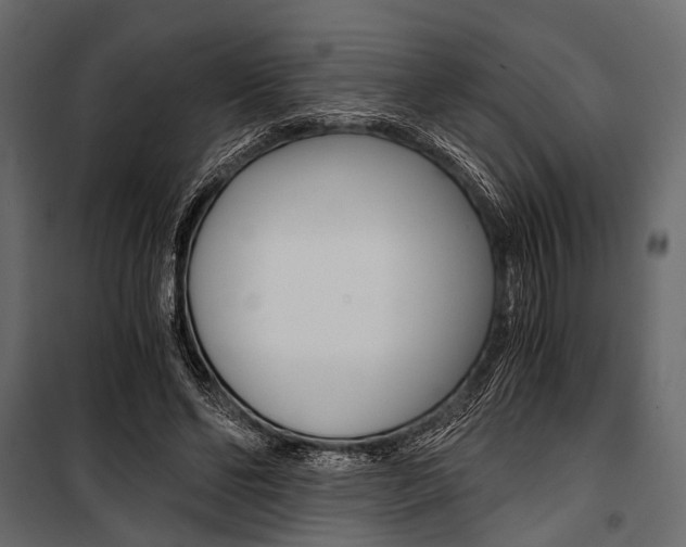 X0000100930494200806241142