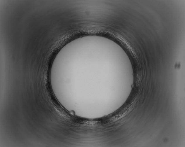 X0000100930497200806241142