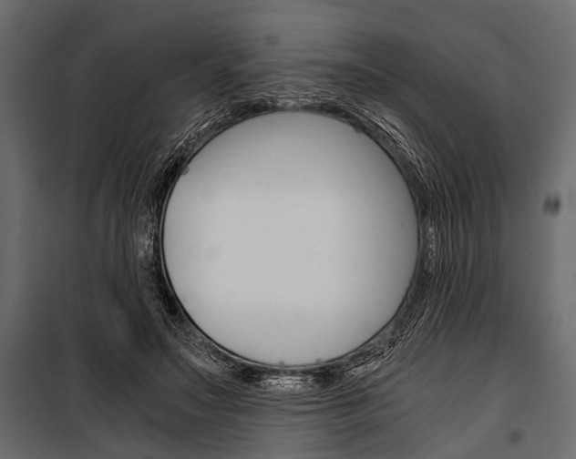 X0000100930499200806241141