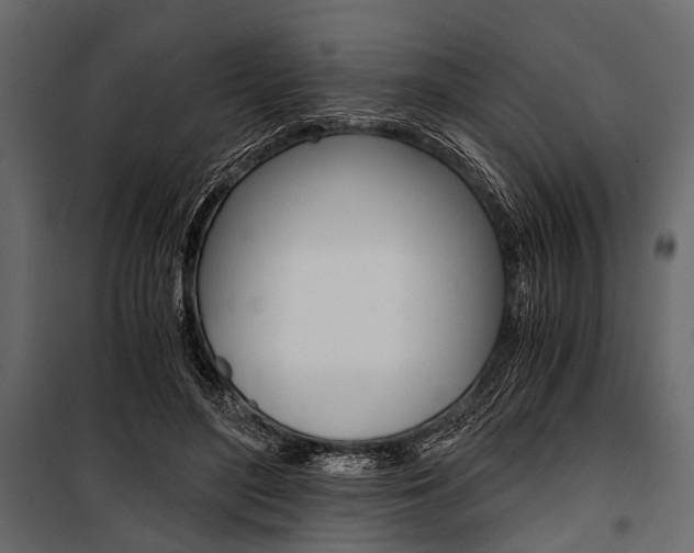 X0000100930500200806241141