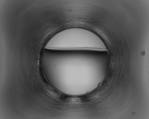 X0000100930501200806241141