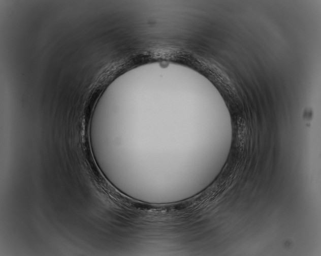 X0000100930502200806241141