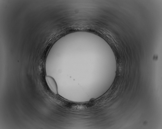 X0000100930503200806241141