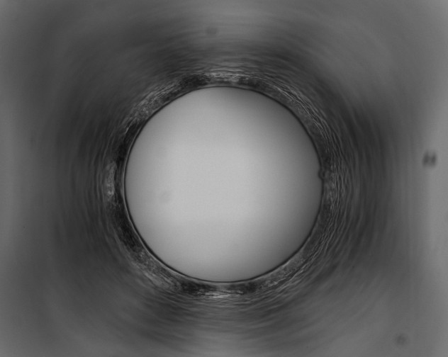 X0000100930504200806241141