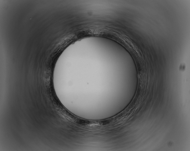 X0000100930505200806241141