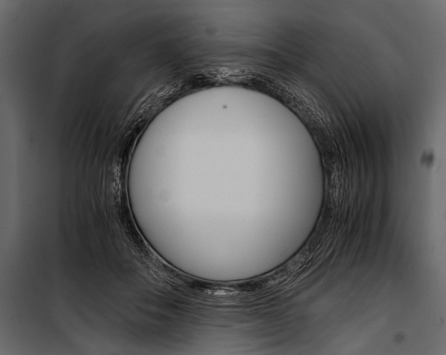 X0000100930506200806241141