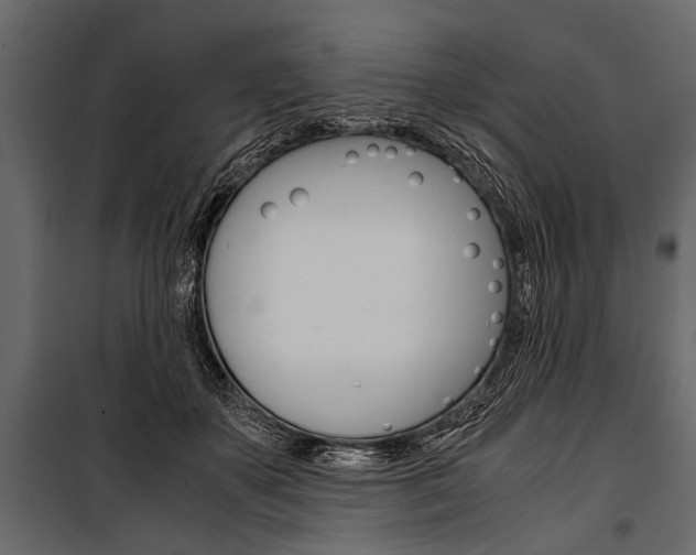 X0000100930507200806241141