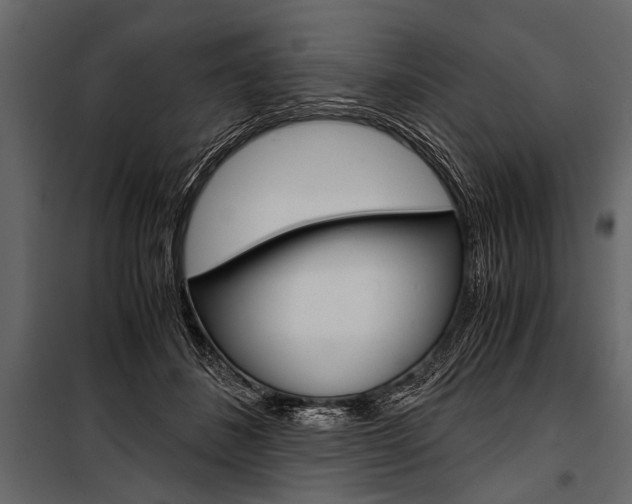 X0000100930508200806241141