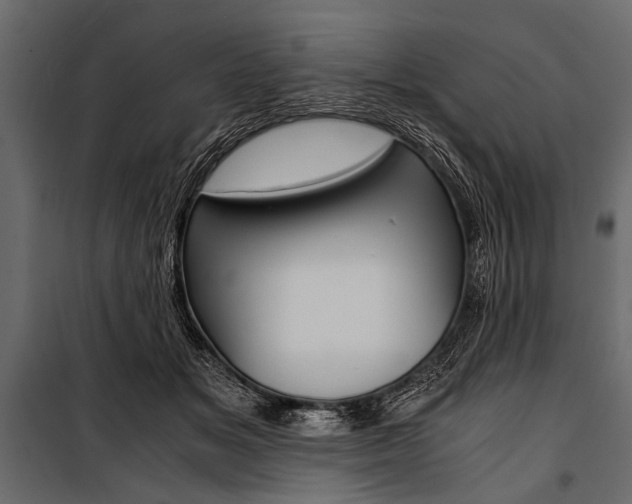 X0000100930509200806241141