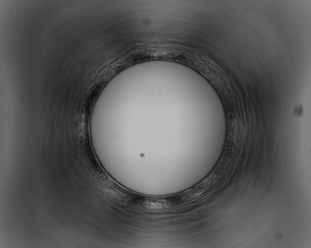 X0000100930510200806241141