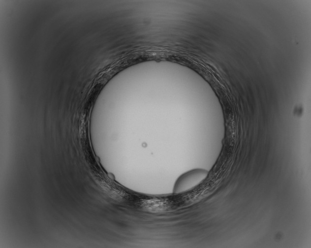 X0000100930511200806241141