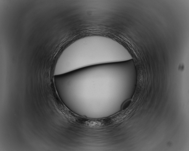 X0000100930512200806241141