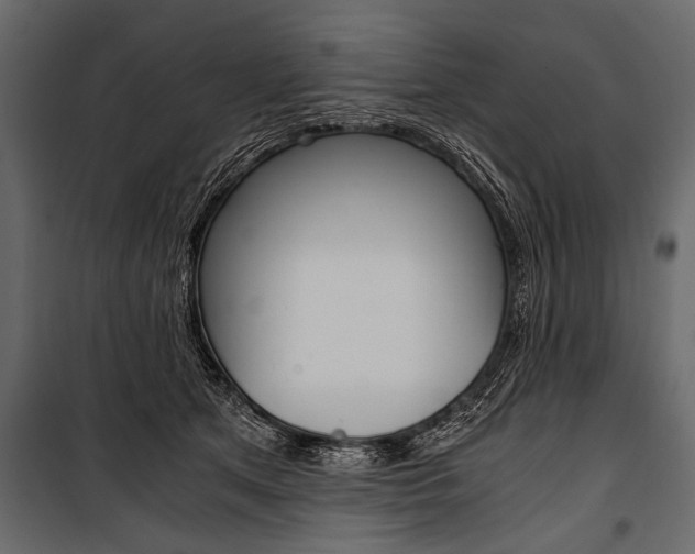 X0000100930513200806241141