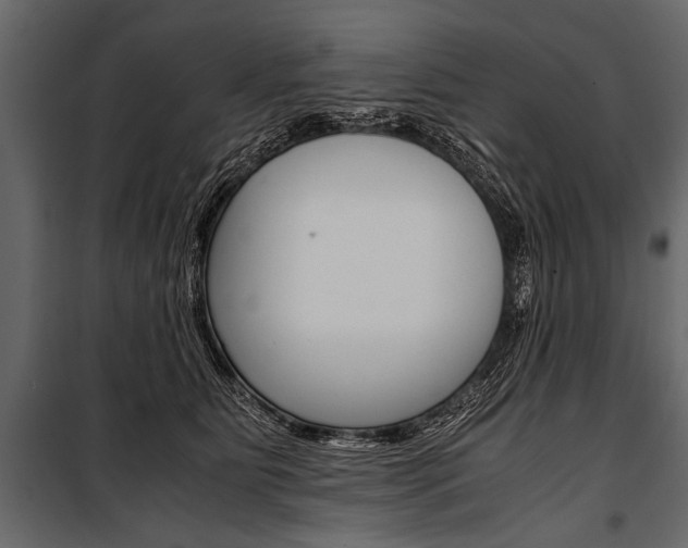 X0000100930515200806241141