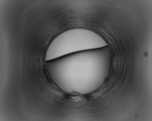 X0000100930516200806241141