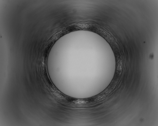 X0000100930518200806241141