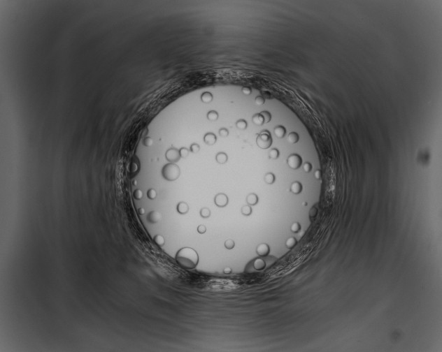 X0000100930519200806241141