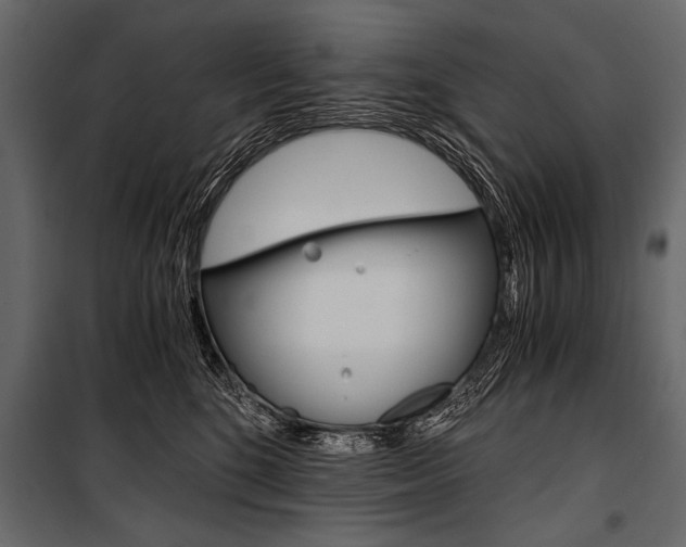 X0000100930520200806241141