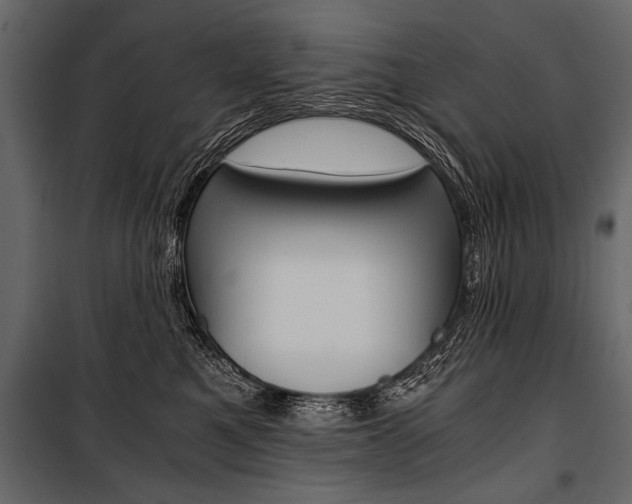 X0000100930521200806241141