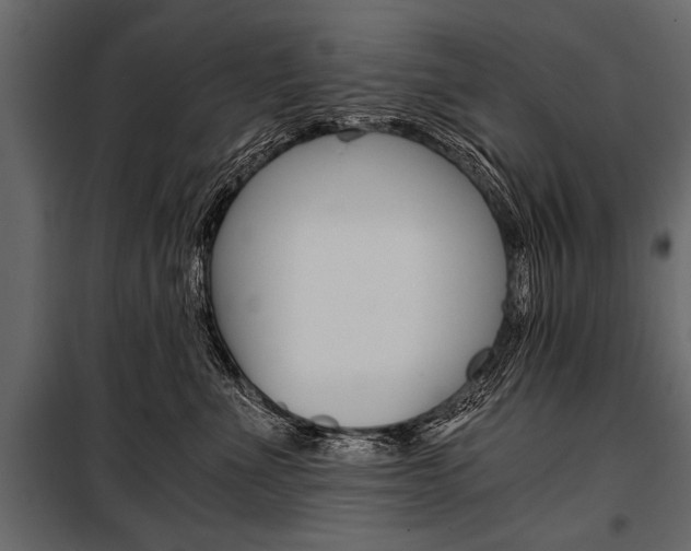 X0000100930523200806241141