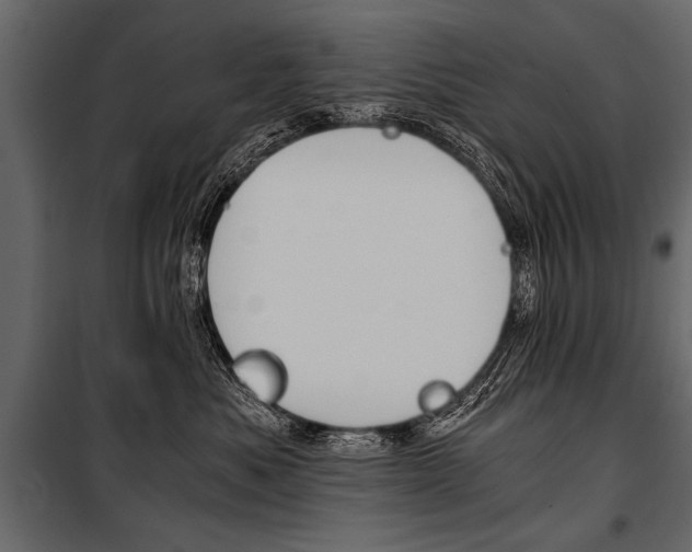 X0000100930525200806241141