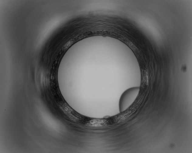 X0000100930526200806241141