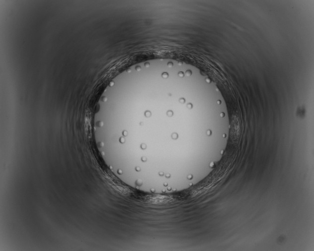 X0000100930527200806241141