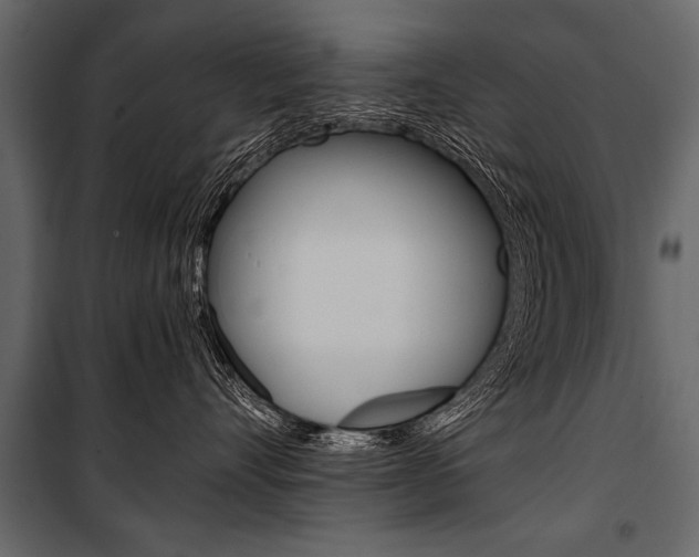 X0000100930528200806241141