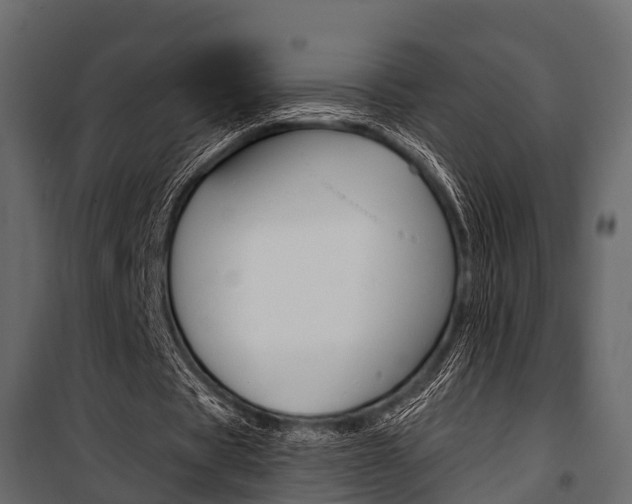 X0000100930529200806241140