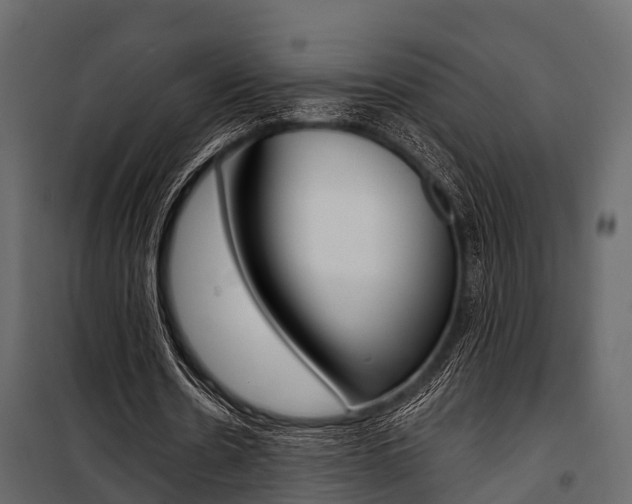 X0000100930530200806241140