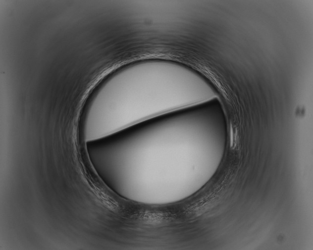 X0000100930531200806241140